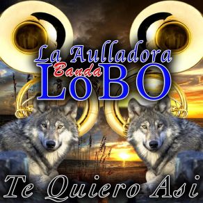 Download track Se Me Canso El Corazon La Aulladora Banda Lobo