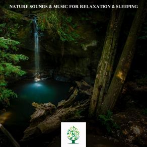 Download track Zen Nature Sounds Fx Sound