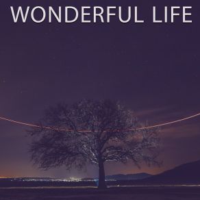 Download track Wonderful Life Timmy Bow