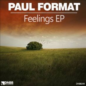 Download track Feelings-Original-Mix Paul Format