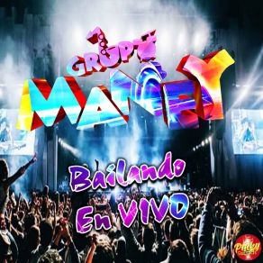 Download track Ritmo Que Quema (En Vivo) Grupo Maney