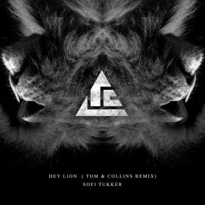 Download track Hey Lion (Tom & Collins Remix) Sofi Tukker, Tom