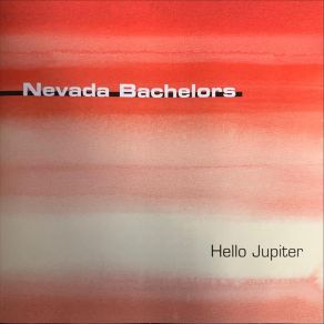 Download track The Hook Nevada Bachelors