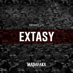 Download track Extasy (Radio Edit) Ridwello