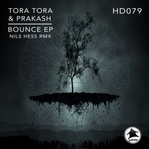 Download track Lazy Sunday (Original Mix) Tora Tora