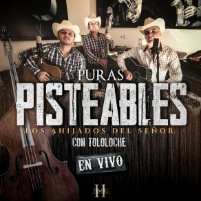 Download track Pistoleros Famosos (En Vivo) Los Ahijados Del Señor