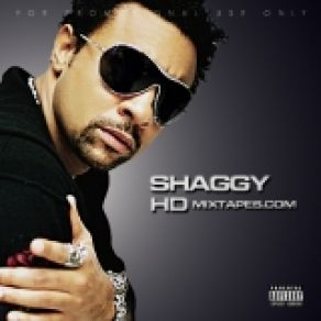 Download track Gimme Some Shaggy, GoldenChyld