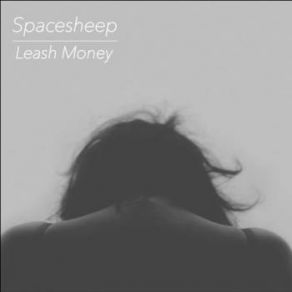 Download track Sparkling Sunset (F. E. M Remix) SpacesheepE. M.