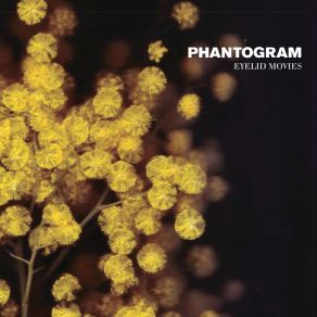 Download track Bloody Palms Phantogram