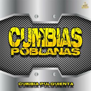 Download track Brinca Y Veras Cumbias Poblanas