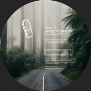 Download track Las Vibras (Original Mix) Mate Terracini