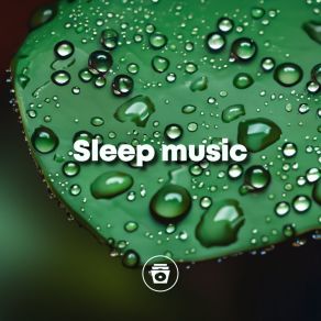 Download track Deep Rain Rain Sounds Sleep