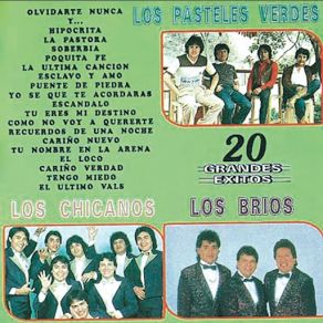 Download track Como No Voy A Quererte Los Pasteles VerdesLOS BRIOS