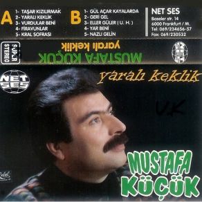 Download track Gül Açar Kayalarda Mustafa Küçük