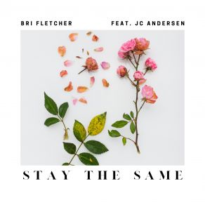 Download track Stay The Same Bri Fletcher, JC Andersen