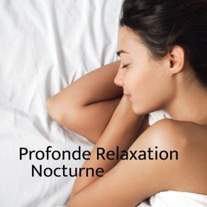 Download track Rêves Et Sommeil Relaxant Relaxation SommeilSommeil Relaxant