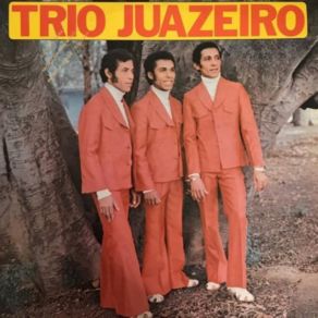 Download track Cade Papai (Cover) Trio Juazeiro