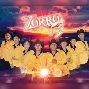 Download track Me Vas A Doler Zorro 15