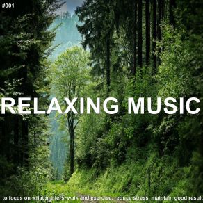 Download track Soothing Ballad White Noise Baby Sleep