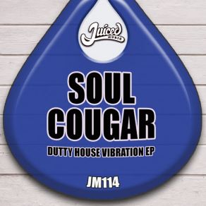 Download track DTTD (Original Mix) Soul Cougar