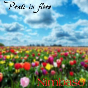 Download track Tutti Insieme Nimbaso