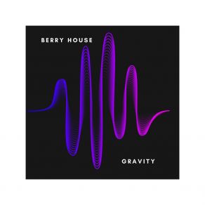 Download track Illusion BERRY HOUSE