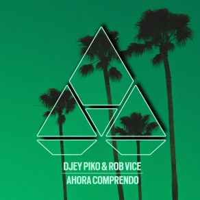 Download track Ahora Comprendo (VIP Remix) Rob Vice