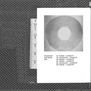 Download track Untitled IIi' Januszewski, Szlazak