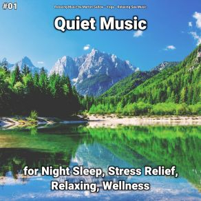 Download track Quiet Music, Pt. 36 Relaxing Spa Music