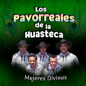 Download track Te Creí Decente Los Pavorreales De La Huasteca