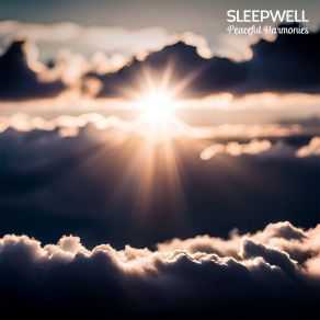 Download track Zenith Sleepwell