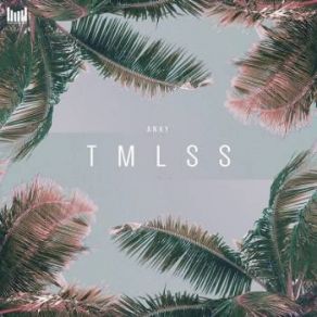 Download track TMLSS (Original Mix) Anky