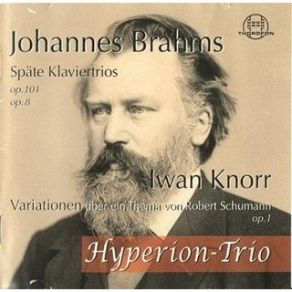 Download track 6. Klaviertrio H-Dur Op. 8 - Scherzo. Allegro Molto Johannes Brahms