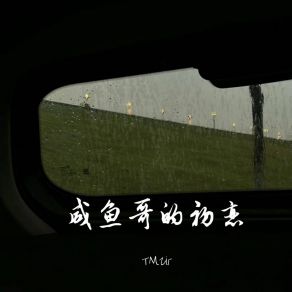 Download track 你在 我阳光似明媚 TMZir