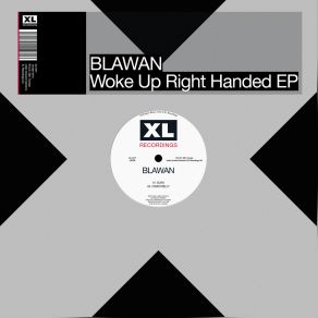 Download track No Rabbit No Life Blawan