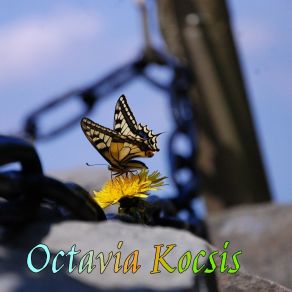 Download track Return Equality Octavia Kocsis