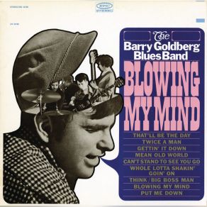 Download track Whole Lotta Shakin' Goin' On The Barry Goldberg Blues Band