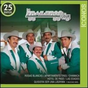 Download track Soy Yo Los Traileros Del Norte