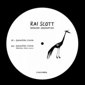 Download track Detached Observation Rai Scott