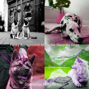 Download track Hip Ambience For Sleeping Dogs Downtempo Music For Dogs