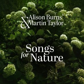 Download track The Gentle Rain Martin Taylor, Alison Burns