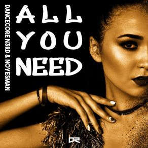 Download track All You Need (DJ Pmj Extended Remix) NoYesManDj Pmj