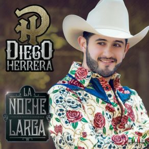 Download track Lo Imposible Diego Herrera