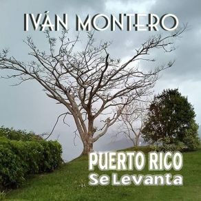 Download track Puerto Rico Se Levanta Ivan Montero