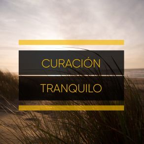 Download track La Tranquilidad Abunda Sleep AmbienceMusica Para Dormir Dream House, Lullaby Ambience