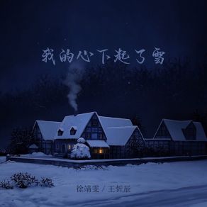 Download track 我的心下起了雪 (Dj苏天伦版伴奏) 苏天伦