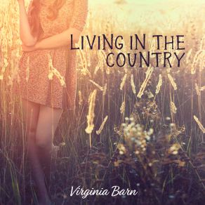 Download track Like A Slow Song Virginia Barn