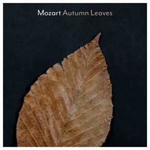 Download track Mozart: Ave Verum Corpus, K. 618 (Transcr. Liszt For Solo Piano) Vikingur Olafsson