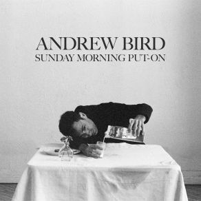 Download track My Ideal Andrew BirdAlan Hampton, Ted Poor