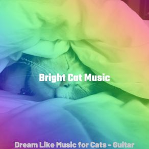 Download track Simplistic Moods For Resting Kittens Bright Cat Music